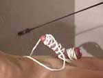 Bound cock