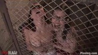 Locked in a cage and made to piss in a bucket